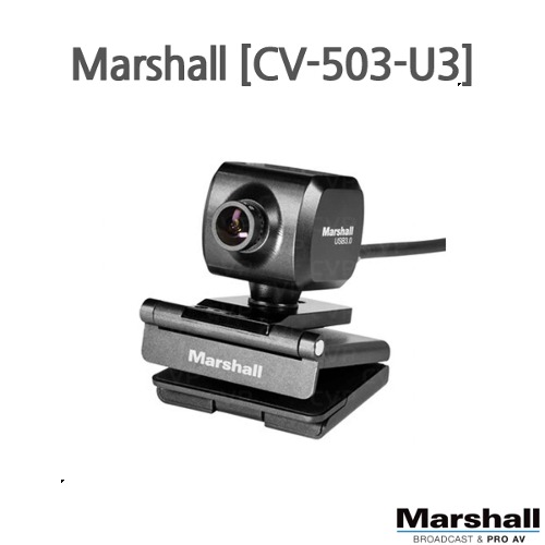 Marshall [CV503-U3]