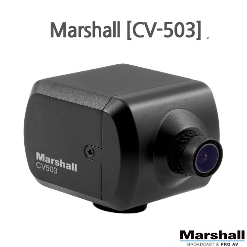 Marshall [CV503]