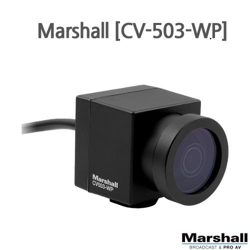 Marshall [CV503-WP]