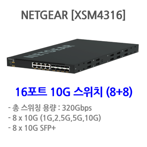 NETGEAR [XSM4316]