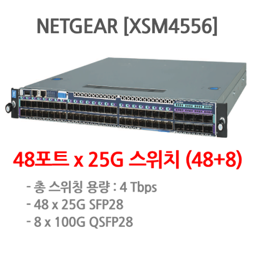 NETGEAR [XSM4556]